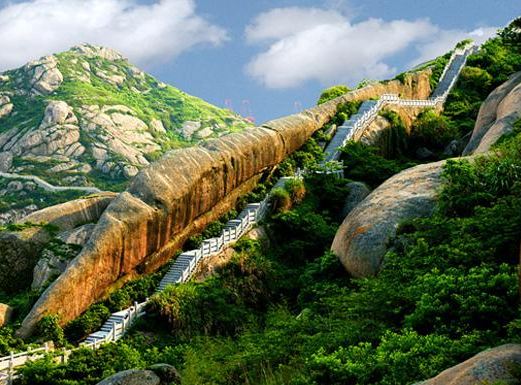 小洋石龙图片
