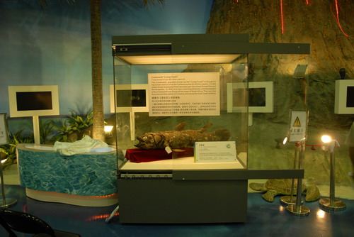 马德里自然博物馆攻略,马德里自然博物馆门票/游玩攻略/地址/图片