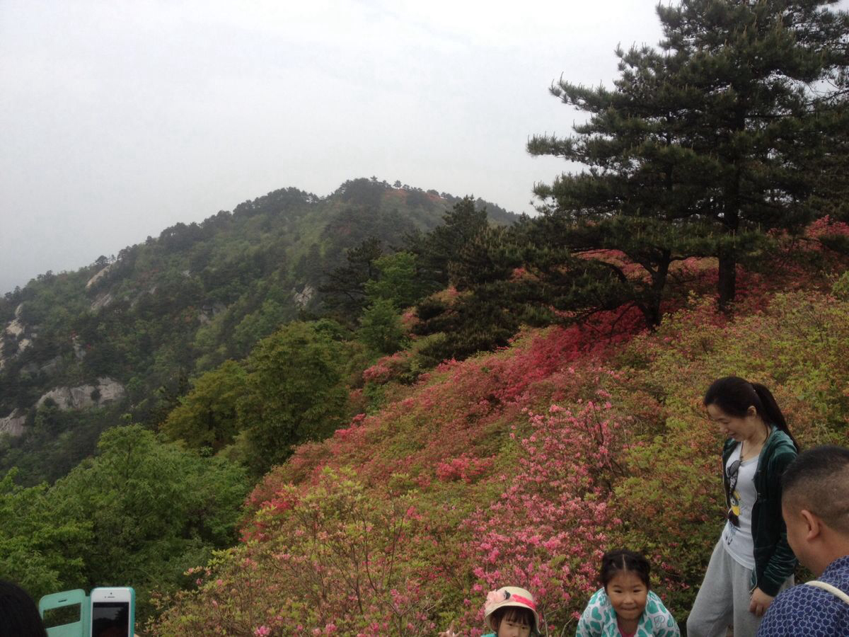 麻城龟峰山一日游