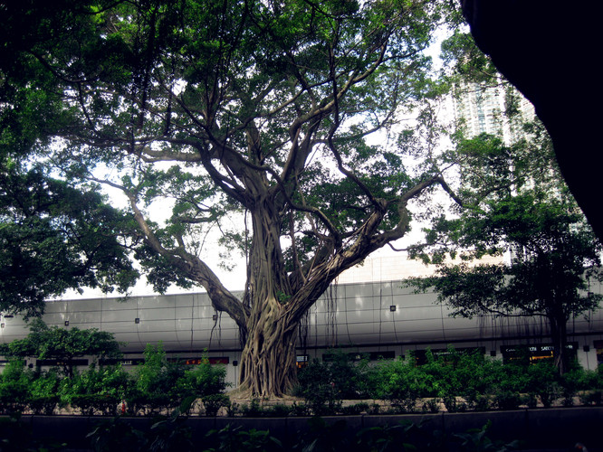 6月5日带父母去香港澳门吃喝玩乐自由行全记