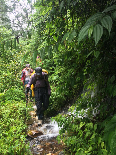 徒步墨脱第三天,穿越蚂蟥区,热带雨林,悬崖峭壁