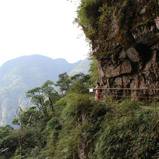 耳聞廣西金秀的聖堂山,山峰巍峨林立,海拔均在1600米以上,主峰