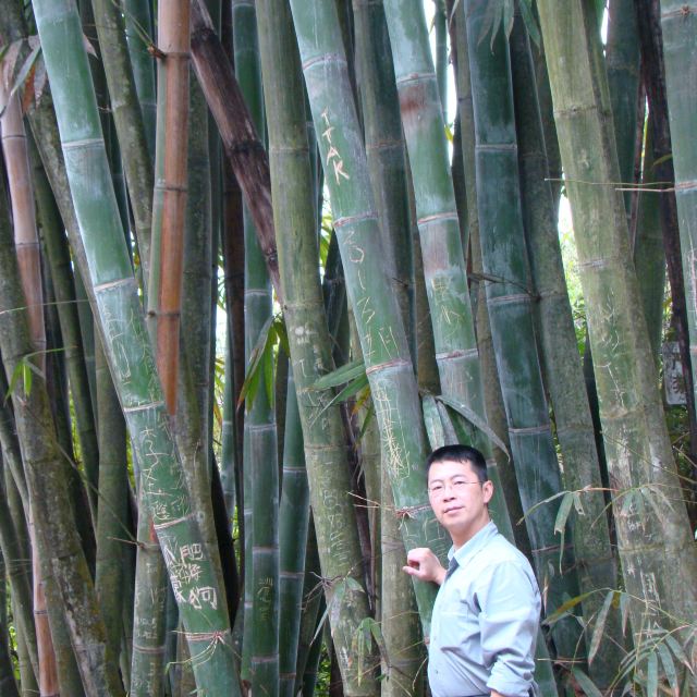 广东从化碧水湾温泉--温暖的初八