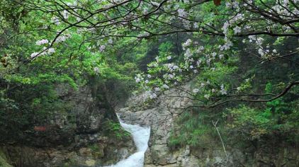 目连山森林公园大峡谷
