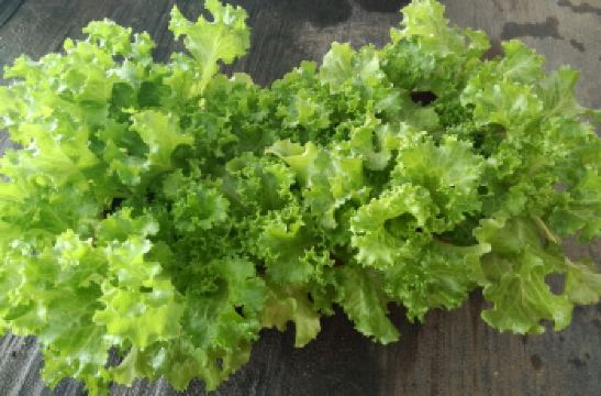 鑫志隆农场附近团购