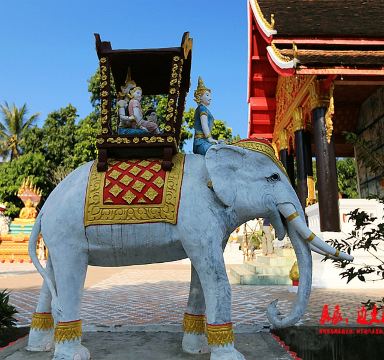 大象是老挝王室文化的典型象征.