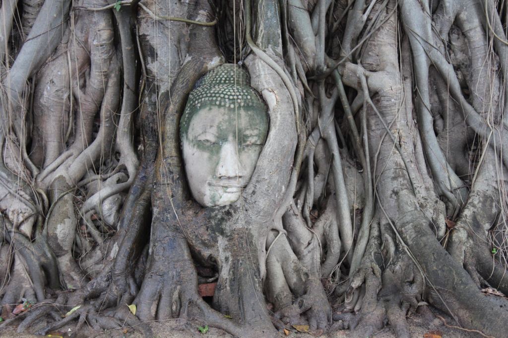 跟这尊佛拍照的时候一定注意,人头不能高过佛头,否则就是对佛的不敬.