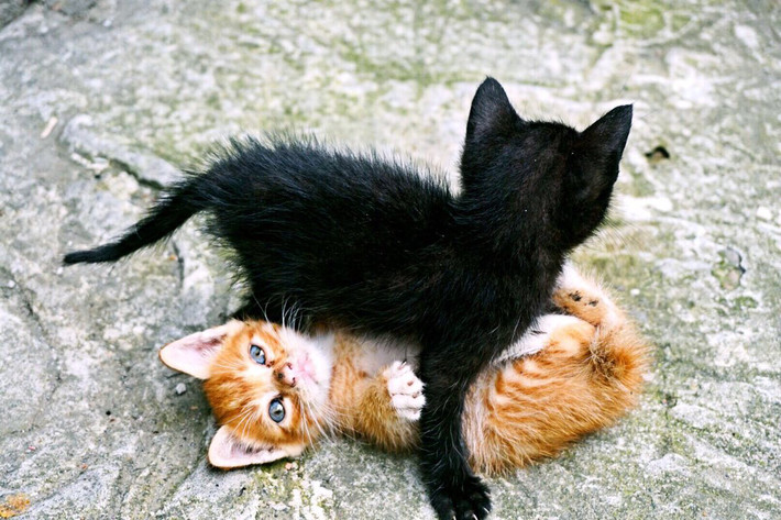 台湾我来也-那一大片让人沉醉的海!