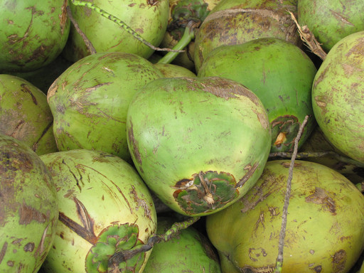 与广西北海市银滩天然椰子摊主聊家常