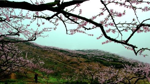 城山溝桃源山莊