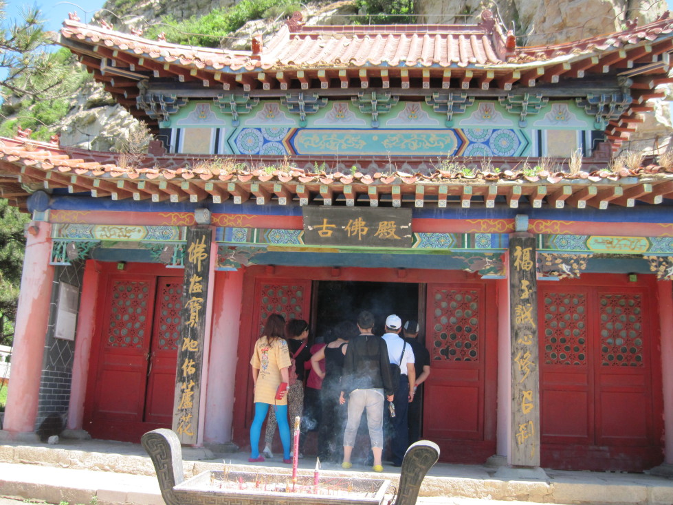 锦州北镇大芦花