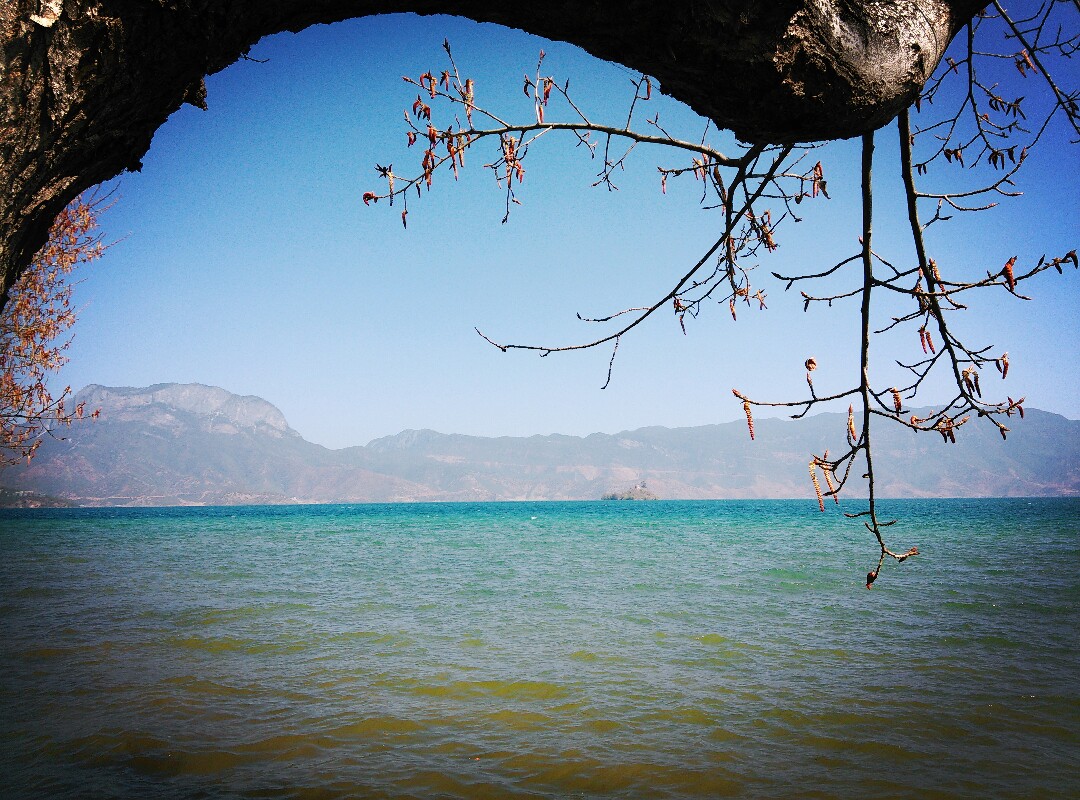 三種顏色的湖面! 瀘沽湖