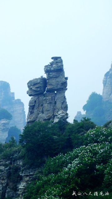 夏日白石山避暑记
