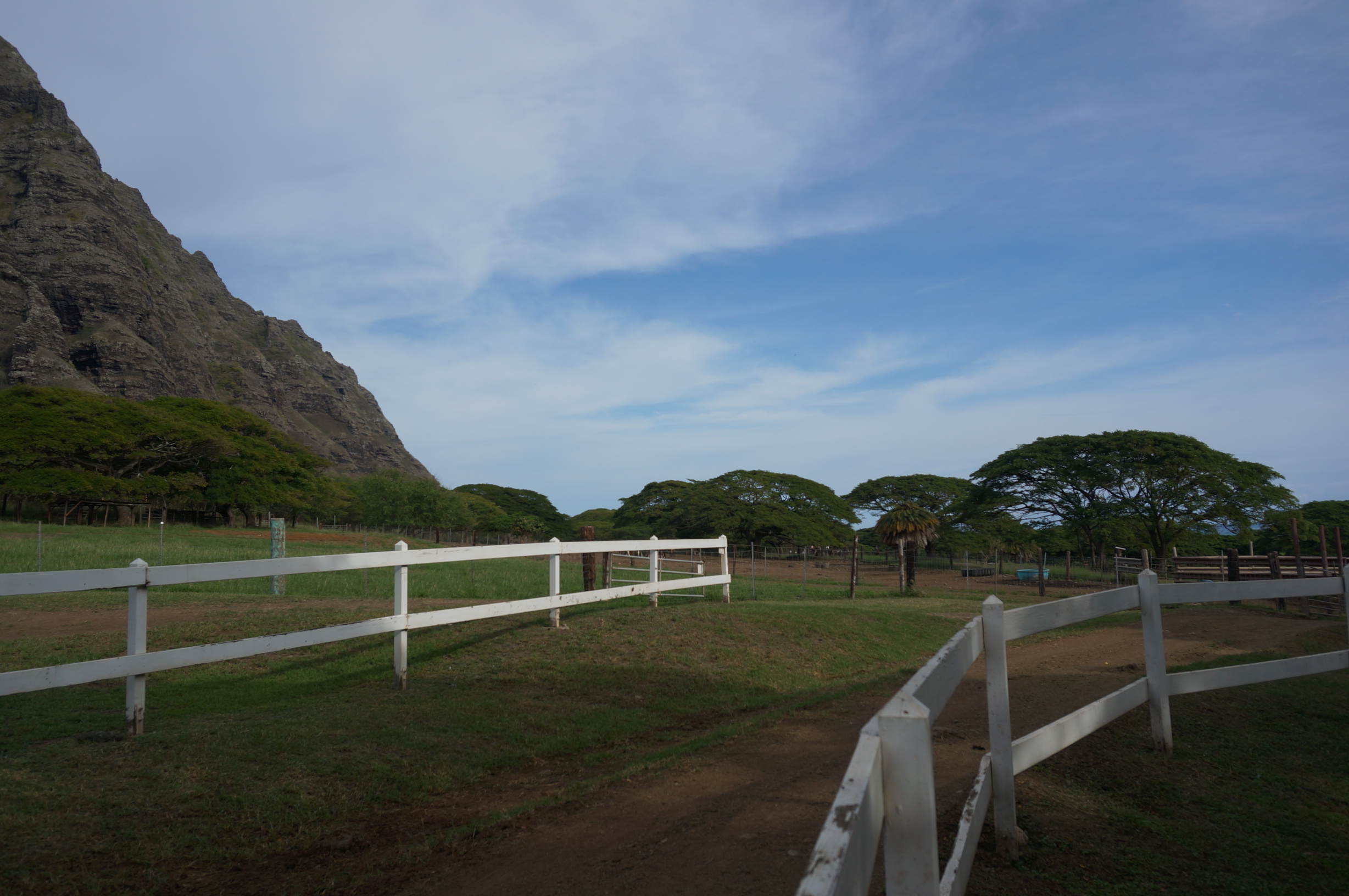 夏威夷13日自由行(一)——古兰尼牧场