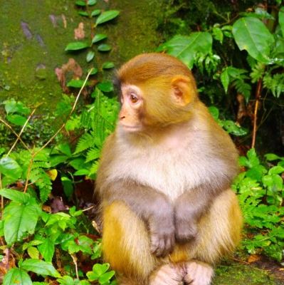 2014一个人的自由游走:张家界 凤凰 长沙游文