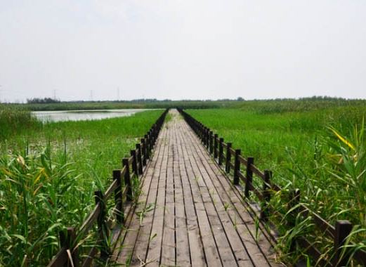 景区 上林湖越窑遗址 80天环游地球主题乐园 峙山公园 永淦古玩旅游区