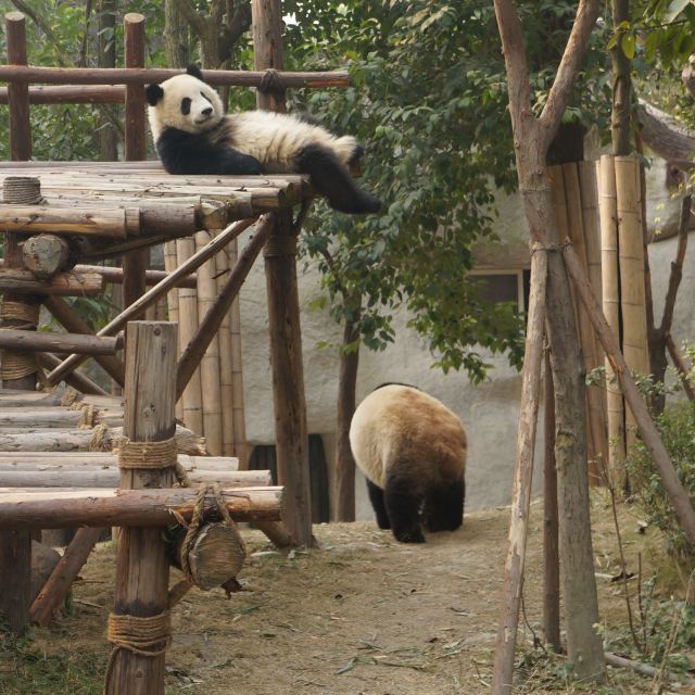 伸伸懒腰