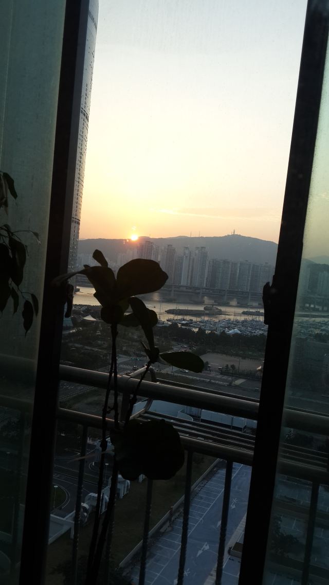 窗外的view,公寓在18楼,能看到海景