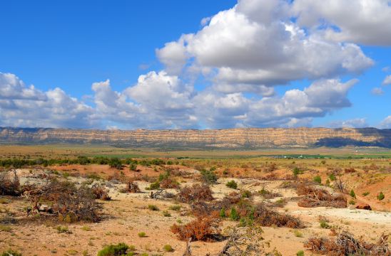西行旅伴-dan fogelberg的歌