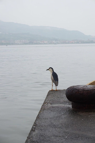 台湾我来也-那一大片让人沉醉的海!