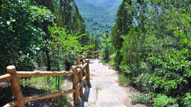 4分 (2條點評) 8 雲明山風景區位於魯中腹地的淄博市淄川區太河鎮峨莊