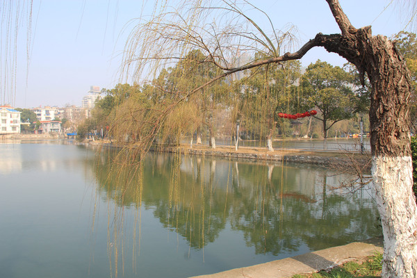 6.安慶--菱湖公園