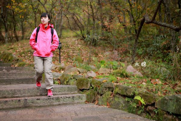 徽州古韵：探访西递民宿的新风尚