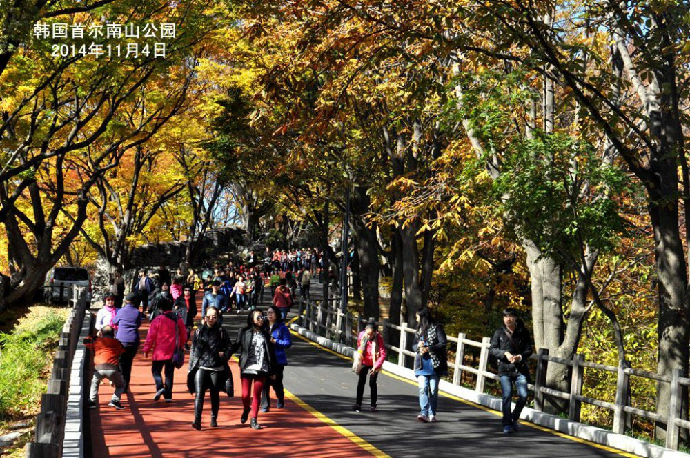 韓國首爾旅遊———南山公園 - 南京遊記攻略【攜程攻略】