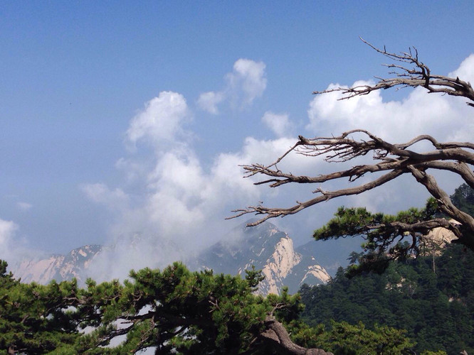 一城一味--西安品