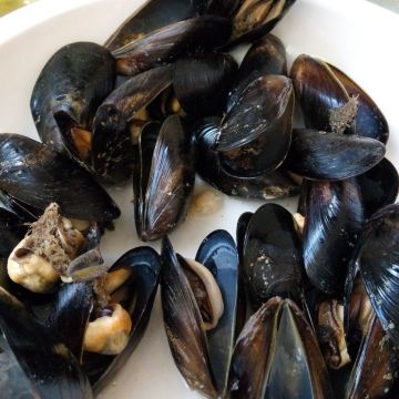 海虹,个个饱满鲜活不腥气,15元