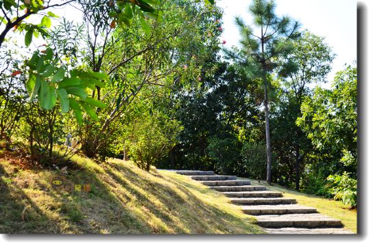 游走佛山-罗村状元公园