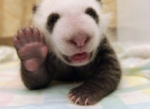 优哉游哉(领秀城店)