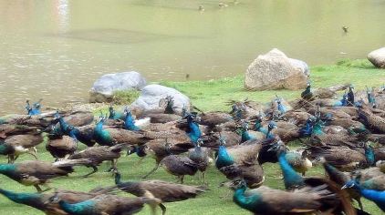 2012092511050250047.jpg