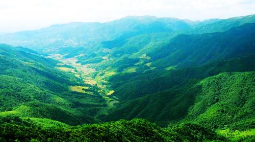 九阜山自然保护区图片