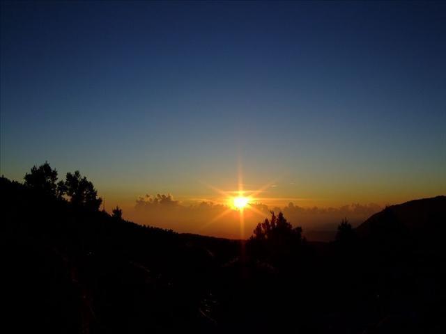 太平山日出