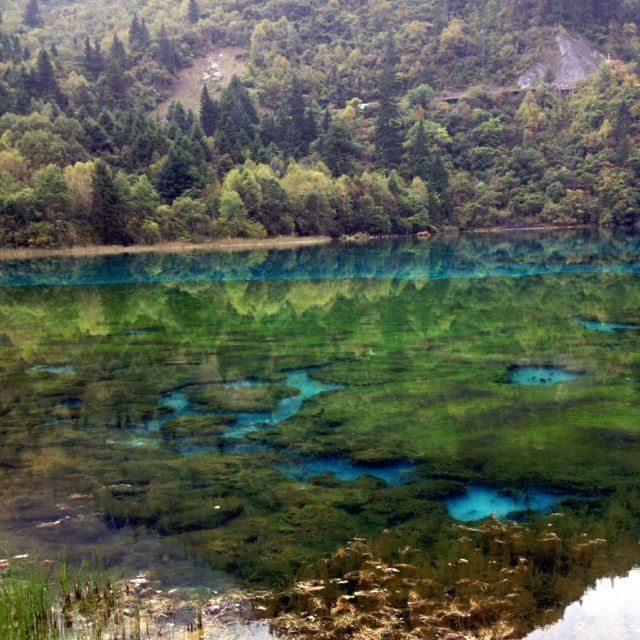 美景 美食,九寨溝成都峨眉八天