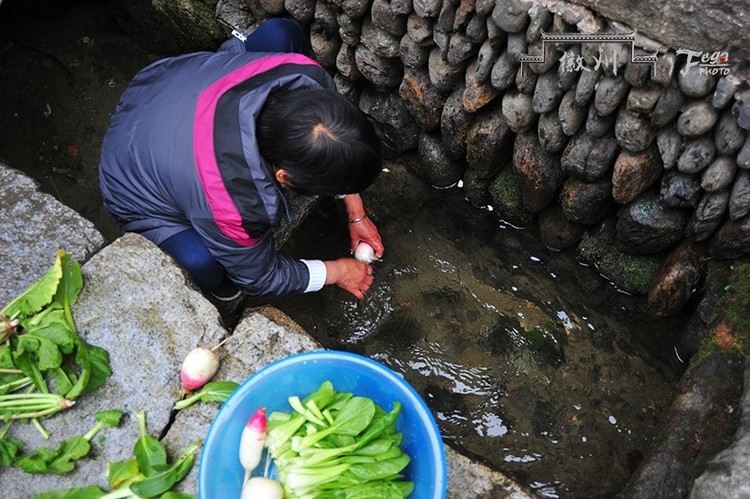 农村洗菜池图片大全图片