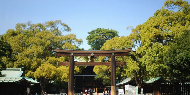 了解日本传统文化东京1日游